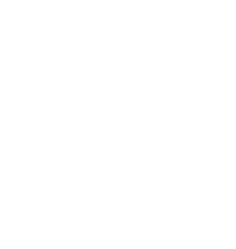schneeflocke